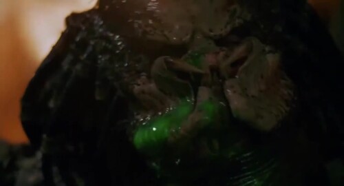 1732326109451309.mp4