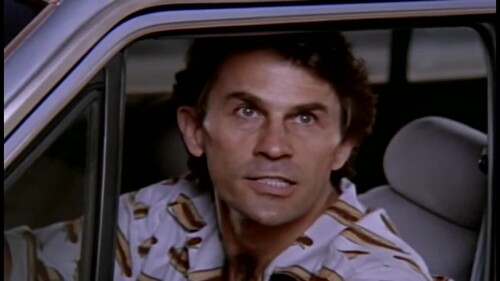 1734811976800556.webm