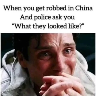 Betterterranbogus_aecc2e_12141284