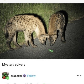 Efficaciousdampdismal_154353_11953656