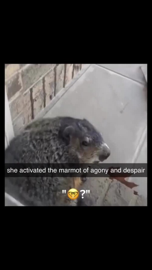 Harsh+naughty+modernized af4036 11758410