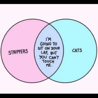 Substantialimpartialdepressed_75cdfa_12184743