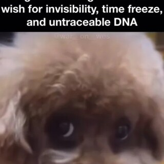 Wish_d62087_12125985