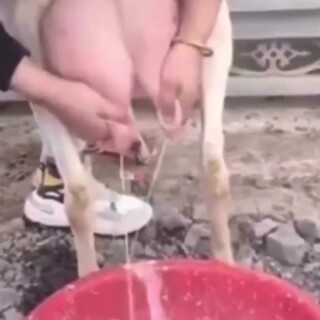 11C32F05-3087-4AAA-8C1D-DED25A5CD100