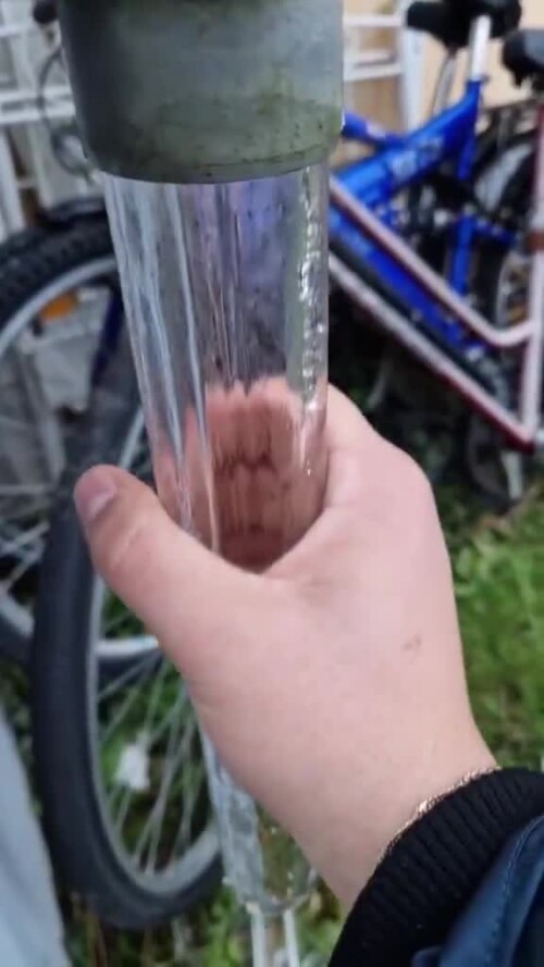 Hallowed+footy+cultivated ff1d6d 12239371