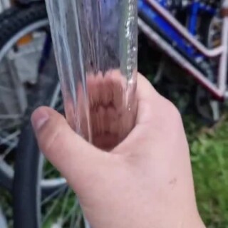 Hallowedfootycultivated_ff1d6d_12239371