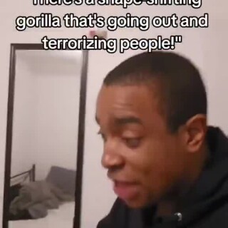 Indiscriminateadflamounosaccented_1e26ab_12240694