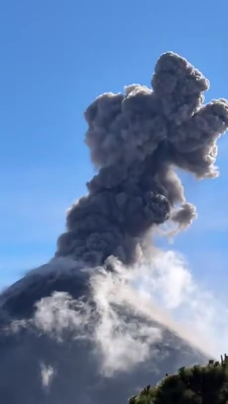 Pooptingintensifies_affc29_12240619.mp4