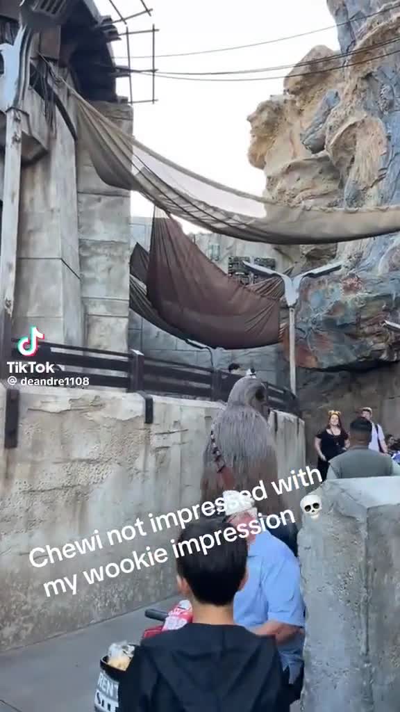 Receptivepuzzledunsanitary_9d1eb1_12240596.mp4