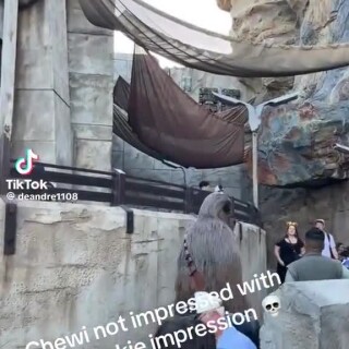 Receptivepuzzledunsanitary_9d1eb1_12240596