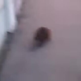 DDDoN-NNDY-DDYDNN-DoDNND