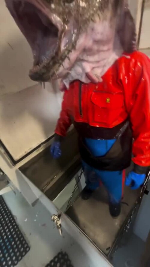 Combined+fallacious+upbeat 3ca0da 12204808