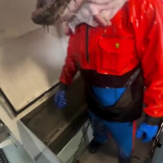 Combinedfallaciousupbeat_3ca0da_12204808