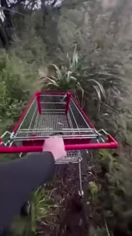 Constituentdetailedelliptical_c1128d_12228360.mp4