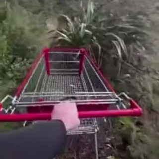 Constituentdetailedelliptical_c1128d_12228360