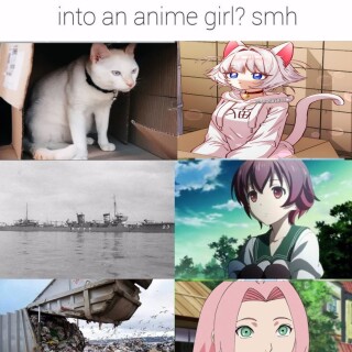 Elatedroomypeacekeeping_317f45_12246463