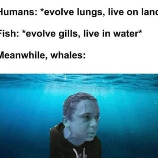 Heathenwistfuljudicious_501677_12246305