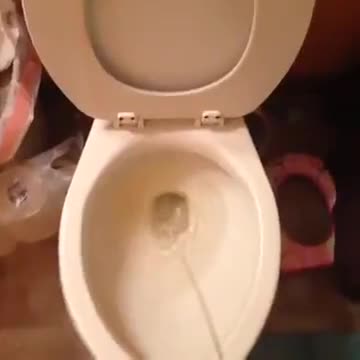 Insensibletacitlive_e45488_12233232.mp4