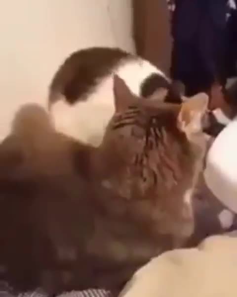 Oldiegoldie_4d3765_12227785.mp4