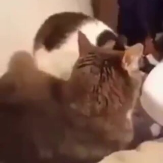 Oldiegoldie_4d3765_12227785