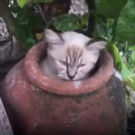 Randomstolenwebms38_fb3cd8_12212320.mp4