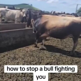 Runninggroovyfilling_94ab0b_12228674