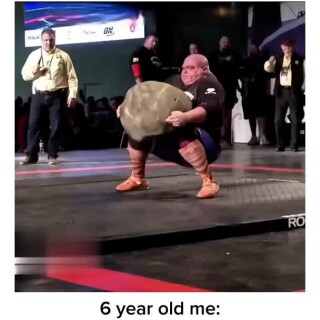 Spotlesswholesaleelaborated_aabfcb_12243705