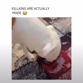 RPReplay_Final1723800804